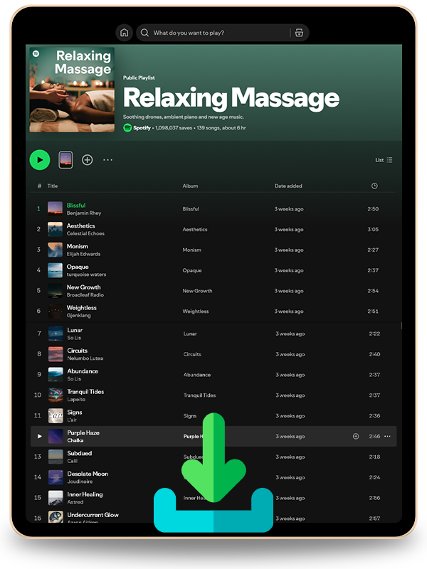 HOW TO DOWNLOAD SPOTIFY TRACKS, PLAYLISTS, OR ALBUMS ONLINE