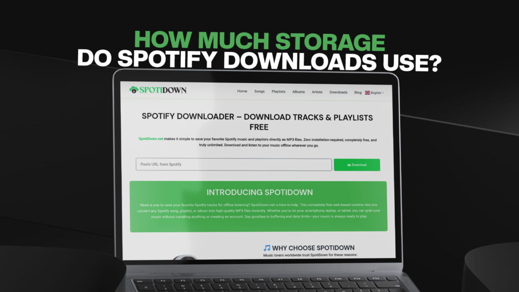 How Much Storage Do Spotify Downloads Use