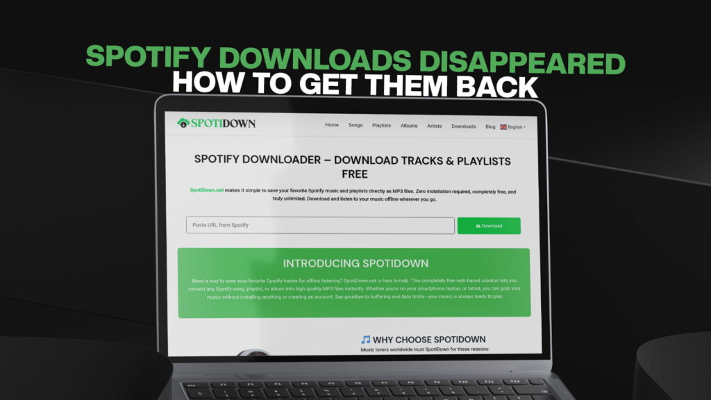 Spotify Downloads Disappeared — How to Get Them Back
