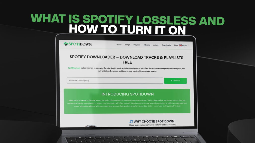What Is Spotify Lossless and How to Turn It On