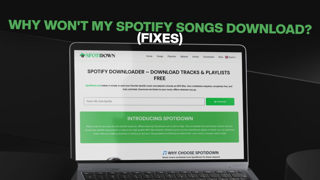Why Won't My Spotify Songs Download (Fixes)
